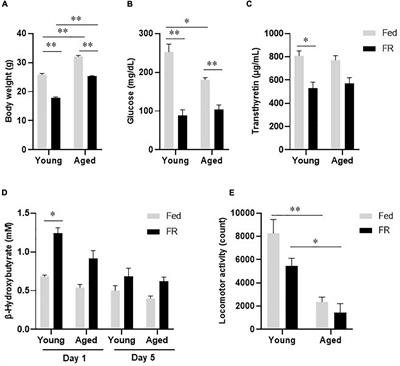 Decline in Liver Mitochondria Metabolic Function Is Restored by Hochuekkito Through Sirtuin 1 in Aged Mice With Malnutrition